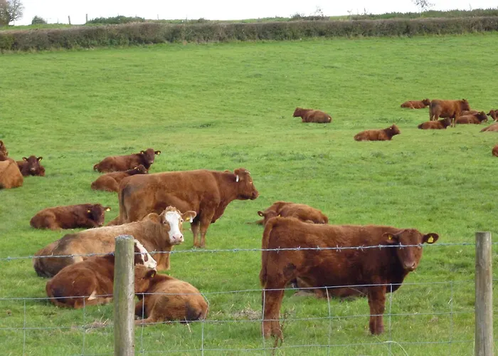 Whidlecombe Farm